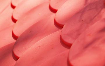 Beambridge plastic roof costs